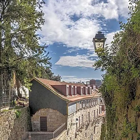 Hotel Timbre Virtudes 5*